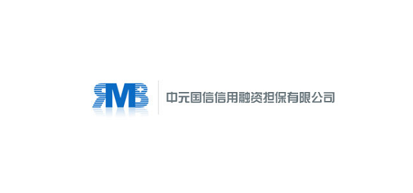 中元国信信用融资担保有限公司是一家什么公司